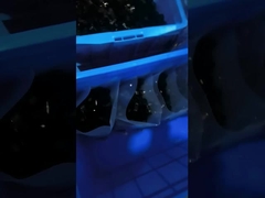 1000Pcs εξαρτήματα δεσμών καλωδίων PE πλαστικός Ρ σφιγκτήρας συνδετήρων τύπων 1/2 ίντσας